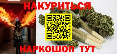 Альфа ПВП Можга