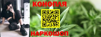 Альфа ПВП Можга