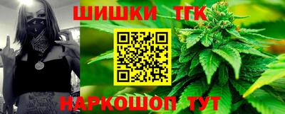 Альфа ПВП Можга