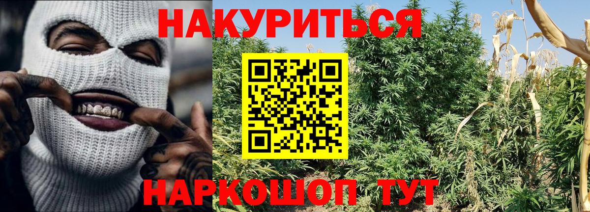 Углич  Канабис White Widow  Бошки Шишки Ganja  Вход с VPN  МАРИХУАНА гибрид  Шишки марихуана White Widow 